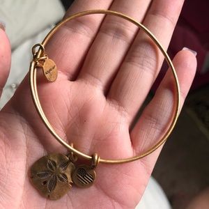 Alex & Ani Charm Bracelet